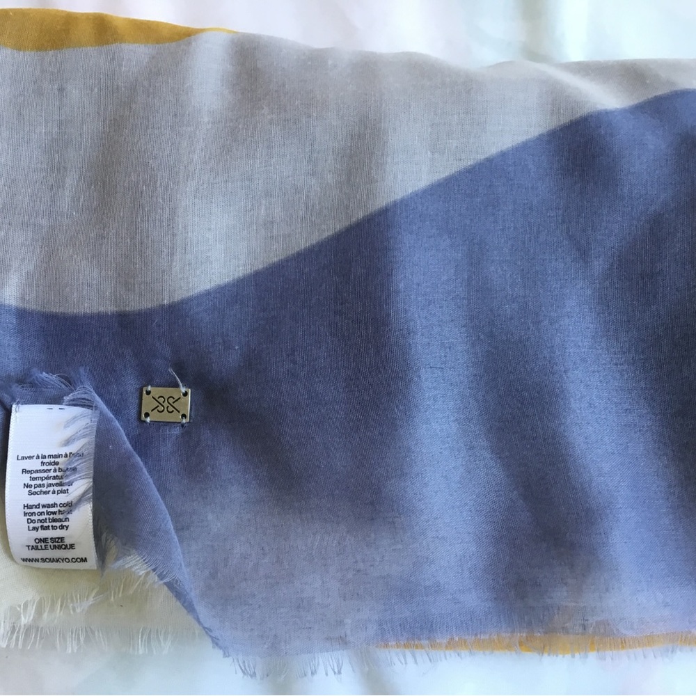 Blue and Gray Scarf